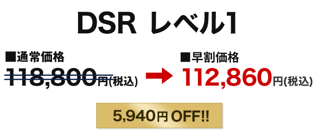 DSRレベル1