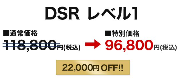 DSRレベル1