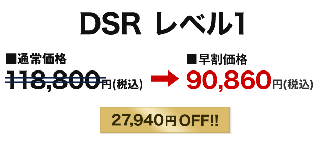 DSRレベル1