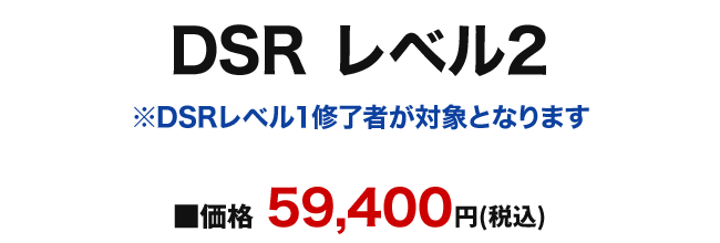DSRレベル2
