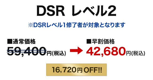 DSRレベル2
