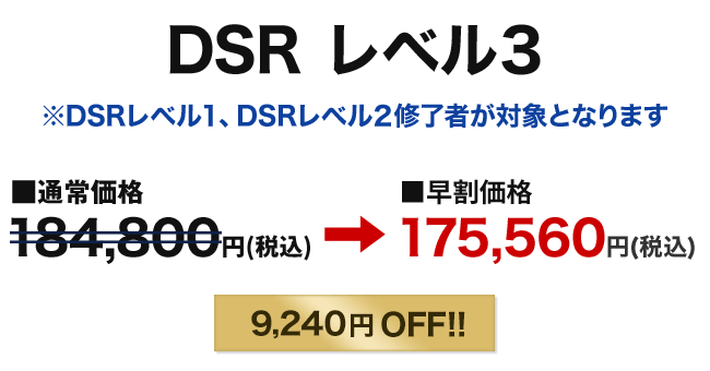 DSRレベル3