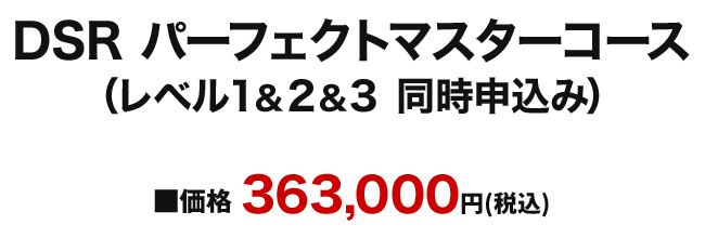 DSRパーフェクトマスターコース