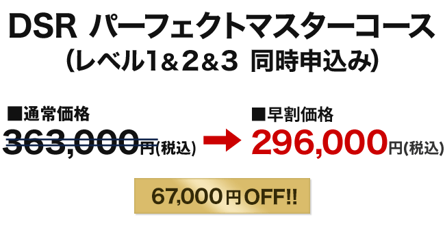 DSRパーフェクトマスターコース